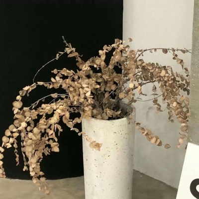 兽设节日场景创作福瑞交流群